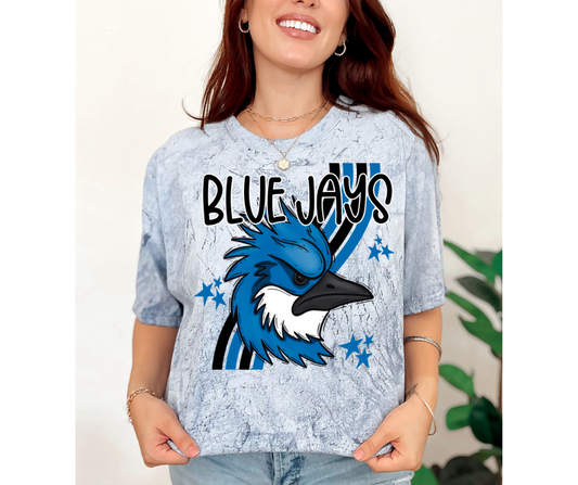 Blue Acid Wash Bluejay